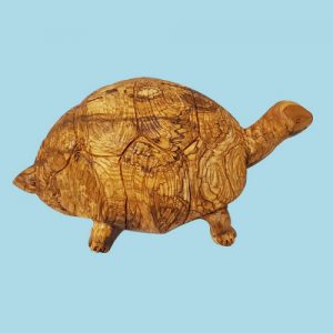 Big engraved Turtul