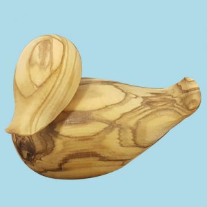 Duck with movable head