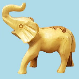 Elephant s1