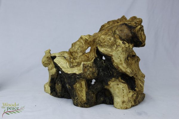 Grotto with olive Tree and carved sheep, on the upper right side from the wood Roots one of a kind Figures Are Abstract Complete. IS 17  Figures size are. 12.2- 9.5 - Image 2